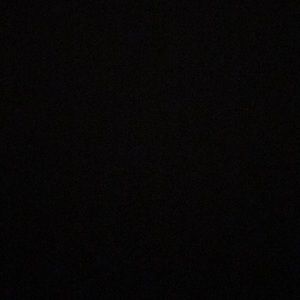 Meet your Posher, Lilli